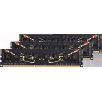 Geil 6GB DDR3 240-pin DIMM Kit (GB36GB1600C8TC)